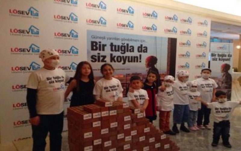 A few bricks for leukemia (LÖSEV)...