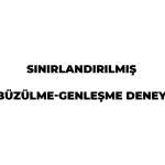 SINIRLANDIRILMIŞ BÜZÜLME-GENLEŞME DENEYİ