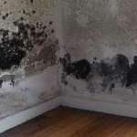 RUTUBETLİ ALANLARA ÖZEL SU YALITIM UYGULAMASI